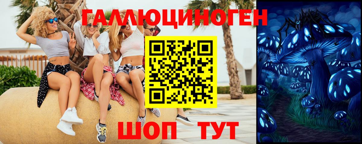 Псилоцибиновые грибы мухоморы  Вход с VPN  Кисловодск 